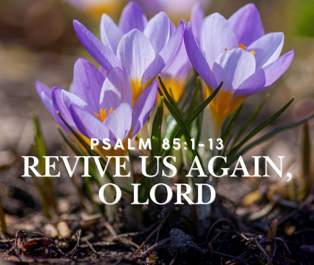 Revive Us Again, O LORD